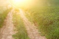 view of fresh grass and road in the field. freedom and renewal concept.