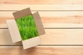 View of fresh green grass through Royalty Free Stock Photo