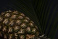 View of fresh pineapple and palm leaf on black background Royalty Free Stock Photo