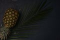 View of fresh pineapple and palm leaf on black background Royalty Free Stock Photo