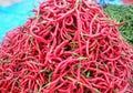View of fresh red chillies at the roadside market Royalty Free Stock Photo