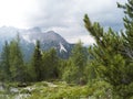 View fron a top of the mountain on a beautiful landscape of Dolomites moutains and a gree coniferous forest in front in