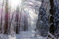 View of a frosty cold Bavarian winter landscape with lots of snow and icy trees and branches, blue sky with clouds