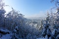 View of a frosty cold Bavarian winter landscape with lots of snow and icy trees and branches, blue sky with clouds