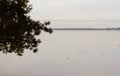 View of frozen lake with gulls sitting on ice Royalty Free Stock Photo