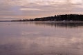 View of frozen lake with gulls sitting on ice Royalty Free Stock Photo