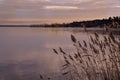 View of frozen lake on sunset Royalty Free Stock Photo