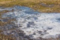 View of a frozen puddle in late autumn. Royalty Free Stock Photo