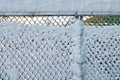 View of a frozen wire mesh fence covered with snow and ice on a bright sunny day. Background. Close-up. Royalty Free Stock Photo