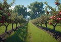 View of a fruitful apple orchard with trees and fruits. View of an agricultural field. Apple trees. Natural example