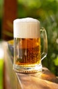 Closeup of a glass of beer in the daylight Royalty Free Stock Photo