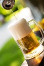 Closeup of a glass of beer in the daylight Royalty Free Stock Photo