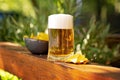 Closeup of a glass of beer in the daylight Royalty Free Stock Photo