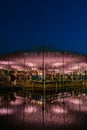 View of full bloom Purple pink Giant Wisteria trellis. mysterious beauty when lighted up at night