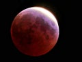 Full red moon of March Royalty Free Stock Photo