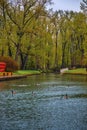 Geese Swimming On The Water