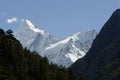 View of a Gangotri national park and snow capped mountain