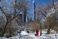 View of Gapstow bridge during winter, dog walking in Central Park New York City . USA Royalty Free Stock Photo