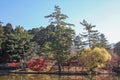 view of garden in autumn in japan Royalty Free Stock Photo