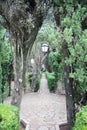 View into the garden of the Chopin Museum in Valdemossa, Spain,