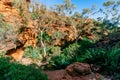 View of the garden of eden with lot of green trees in arid Kings Canyon in outback Australia Royalty Free Stock Photo