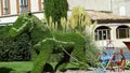 View on garden with green privet hedge topiary in shape of horse