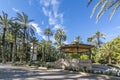 A view of the garden, Palmeral de Elche Royalty Free Stock Photo