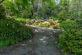Garden Path Landscape Royalty Free Stock Photo