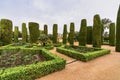 The gardens of Alcazar of the Christian Monarchs in Cordoba, Andalusia, Spain Royalty Free Stock Photo