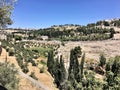 A view of the Gardens of Gethsemane and the Church of All Nations Royalty Free Stock Photo