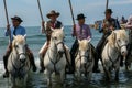 Gardians and camargue horses in the sea Royalty Free Stock Photo