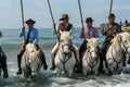 Gardians and camargue horses in the sea Royalty Free Stock Photo