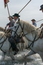 Gardians and camargue horses in the sea Royalty Free Stock Photo