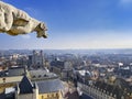 View of gargoyle on the top of city hall of Dijon