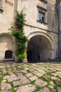 View of gate in ancient Olesko castle. Courtyard in castle. Lviv region in Ukraine. Cloudy summer day Royalty Free Stock Photo