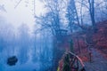 View of a gazebo in a foggy forest. Lake in the forest in the fog Royalty Free Stock Photo