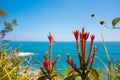 View gazebo from the trail towards the turquoise sea in the middle of the jungle surrounded by vegetation and trees in the