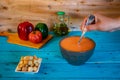 View of gazpacho, a typical Spanish meal Royalty Free Stock Photo