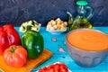 View of gazpacho, a typical Spanish meal Royalty Free Stock Photo