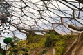 Inside a Geodesic Dome with Greenery and Colorful Decor at Eden Project in Cornwall, UK Royalty Free Stock Photo