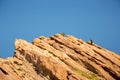 Vasquez Rocks landscape - slanted