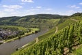 View of German river Moselle near Punderich Royalty Free Stock Photo