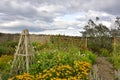 Walled Garden on Island of North East England