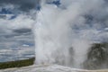 Old Faithful Erupting in Yellowstone Royalty Free Stock Photo
