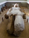 Giant statue of Ramesses II, Memphis, Egypt