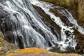 View of Gibbon Falls in Yellowstone Royalty Free Stock Photo