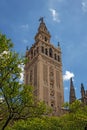 View of Giralda belfry from the street