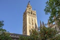 View of Giralda tower of Seville Cathedral of Saint Mary of the See Seville Cathedral  with oranges trees in the foreground Royalty Free Stock Photo