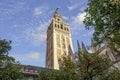 View of Giralda tower of Seville Cathedral of Saint Mary of the See Seville Cathedral  with oranges trees in the foreground Royalty Free Stock Photo