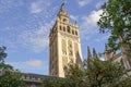 View of Giralda tower of Seville Cathedral of Saint Mary of the See Seville Cathedral  with oranges trees in the foreground Royalty Free Stock Photo